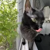 Isabel_Roybal - @izzy_0453 - TikTok