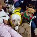 Isabel Rubin - Facebook