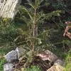 isabelrubin157 - @isabelrubin157 - TikTok