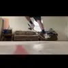 Isabel Rushing - @isabelrushing - TikTok