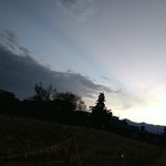 Isabel Sargent - @isabel.sargent1 - Instagram