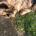 Isabel Sargent - Facebook
