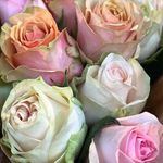 Isabelle Chapeu - @isabelschafer68 - Instagram