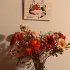 Isabel Scherer - @.._isabelscherer - TikTok