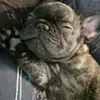 IsabelleSchillerCL13818 - @isabelleschillercl13818 - TikTok