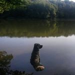 Isabel Schubert - @schubert_belle - Instagram