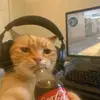 pulpin :] - @isabel.schuler.do - TikTok