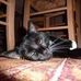Isabel Schulte - Facebook