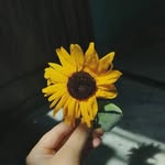 @isabel_segales - Instagram