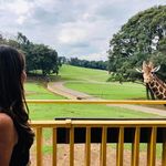 Isabel Servín - @isatk - Instagram