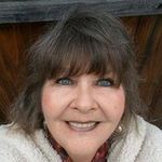 Author Susan Isabella Sheehan - @authorsusanisabellasheehan - Instagram