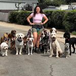 Isabella Shepard - Balanced Dog Trainer - @thegoodshepards - Instagram