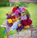 Shirley Isabel - Facebook