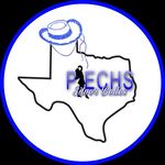 Port Isabel ECHS Silver Belles - @piechs_silverbelles - Instagram