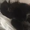 isabelsingleton - @isabelsingleton - TikTok