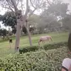 ._. - @vaniaisabelsiucordova - TikTok