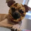Isabel Solorio - @aquaterra - TikTok