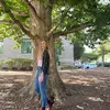 Isabel Spencer Landis Doss - @isabel.spencer.la - TikTok