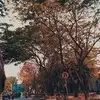 isabelsteen5 - @isabelsteen5 - TikTok