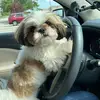 mariaisabelsteiner - @mariaisabelsteiner - TikTok