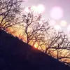 isabelle.stock - @isabelle.stock - TikTok