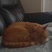 Isabelle Stoddart - Facebook