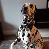 isabellestorey14 - @isabellestorey14 - TikTok