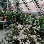 Isabel Strachan - @strachanphoto - Instagram