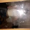 Isabell Strasser - @isabellstrasser - TikTok