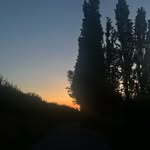 @isabelstuart.xx - Instagram