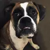 isabelsutton - @isabelsutton - TikTok