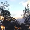 isabelle_townsend - @isabelle_townsend - TikTok