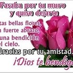 Irma Hernandez Saldivar - @isabel_veloz_hernandez - Instagram