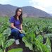 Isabel Vidal Nutricionista - Facebook