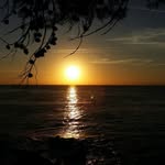 Isabel Vives - @isvi64 - Instagram