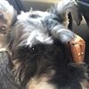 Isabelle Waite582 - @isabellewaite - TikTok