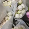 Изабель Вальд - @isabelwald - TikTok