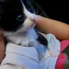 Isabel Wald853 - @sofipi19 - TikTok