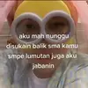 IsabelWall - @svenmrki1l1 - TikTok