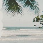 Isabel Walsh - @isabelwalsh0221 - Instagram