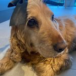 Isabel Walsh - @isabel.walsh22 - Instagram