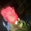 isabelwashington.69 - @isabelwashington.69 - TikTok
