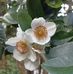 Isabel Werner - Facebook