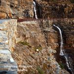 Whitney Roggiero - @whitney_isabel_photography - Instagram