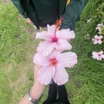 Isabel Woods - @izzy_grace7912 - Instagram