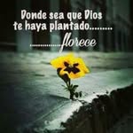 Isabel Yanes - @isabel_yanes290 - Instagram