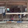 Obx♡ - @isabella.yoder12 - TikTok