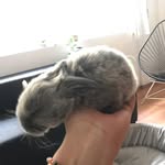 Isabel Zarco - @isaazarco.123 - Instagram