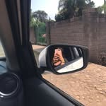 Isabela Cisneros - @soy_la_cisneros_1 - Instagram