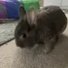 isabelloliver11 - @isabelloliver11 - TikTok